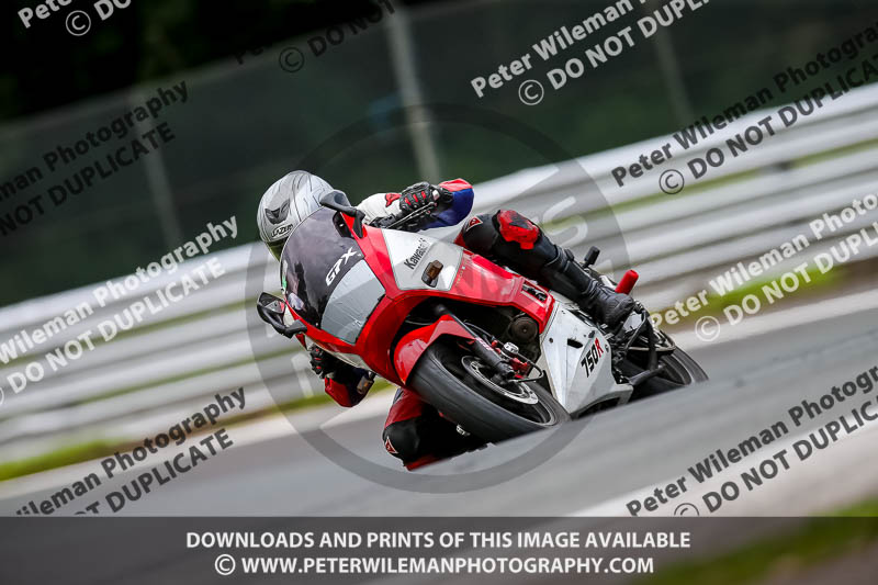 PJ Motorsport 2019;anglesey;brands hatch;cadwell park;croft;donington park;enduro digital images;event digital images;eventdigitalimages;mallory;no limits;oulton park;peter wileman photography;racing digital images;silverstone;snetterton;trackday digital images;trackday photos;vmcc banbury run;welsh 2 day enduro